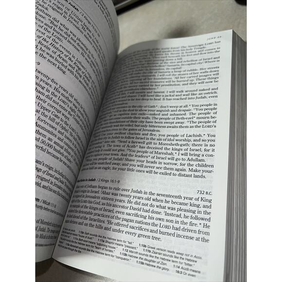 The One Year Chronological Bible NLT Paperback Tyndale New Living Translation - Picture 12 of 15